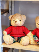 URSO MENINO SENTADO COM SUETER VERMELHO  20CM - PRÉ VENDA 2025